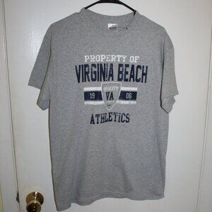 Gildan Gray Virginia Beach T-Shirt